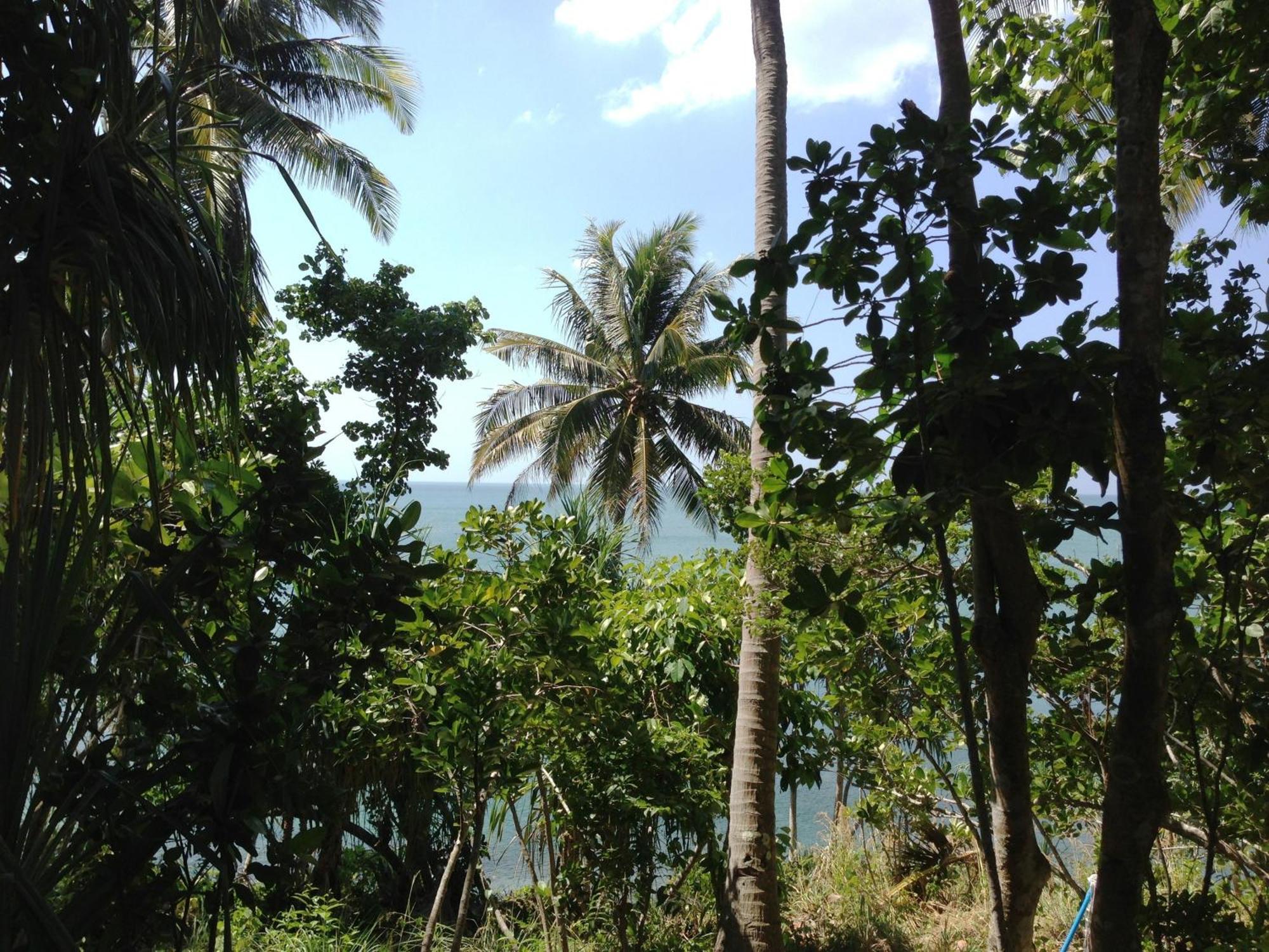 The Narima - Sha Plus Ko Lanta Dış mekan fotoğraf