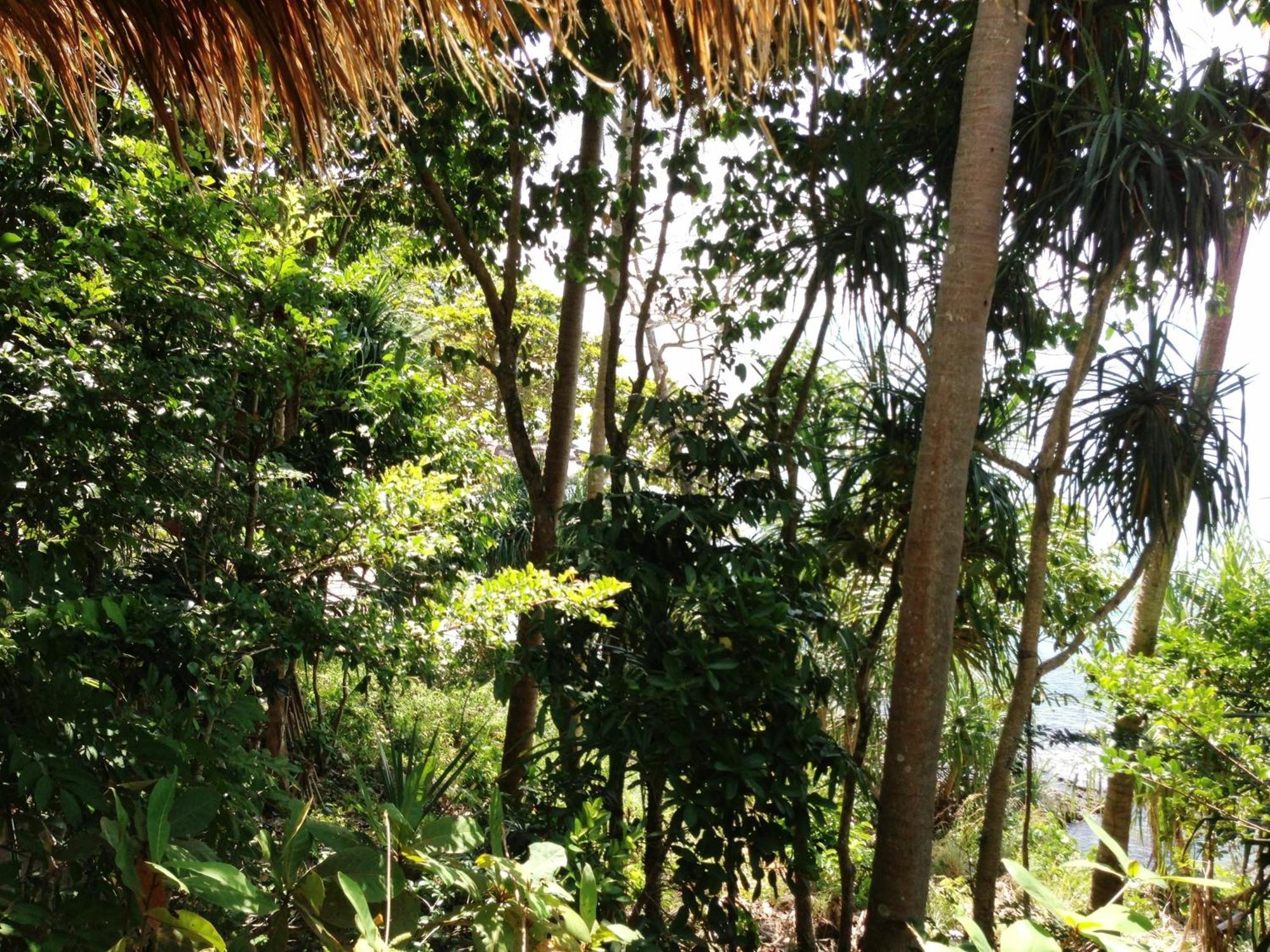The Narima - Sha Plus Ko Lanta Dış mekan fotoğraf