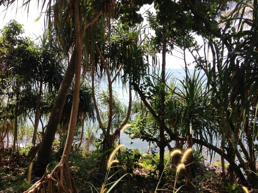 The Narima - Sha Plus Ko Lanta Dış mekan fotoğraf