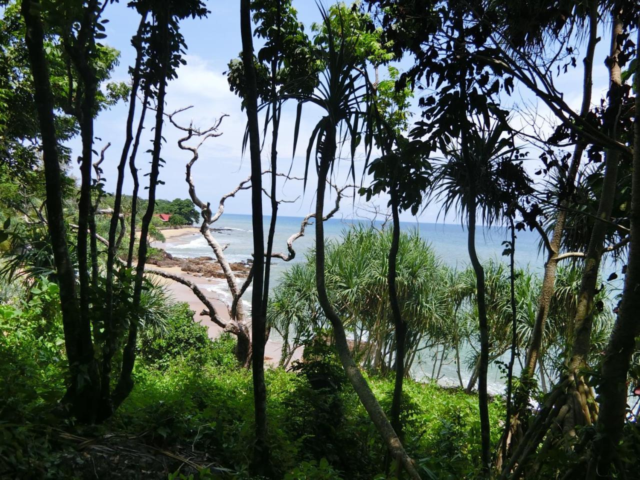 The Narima - Sha Plus Ko Lanta Dış mekan fotoğraf